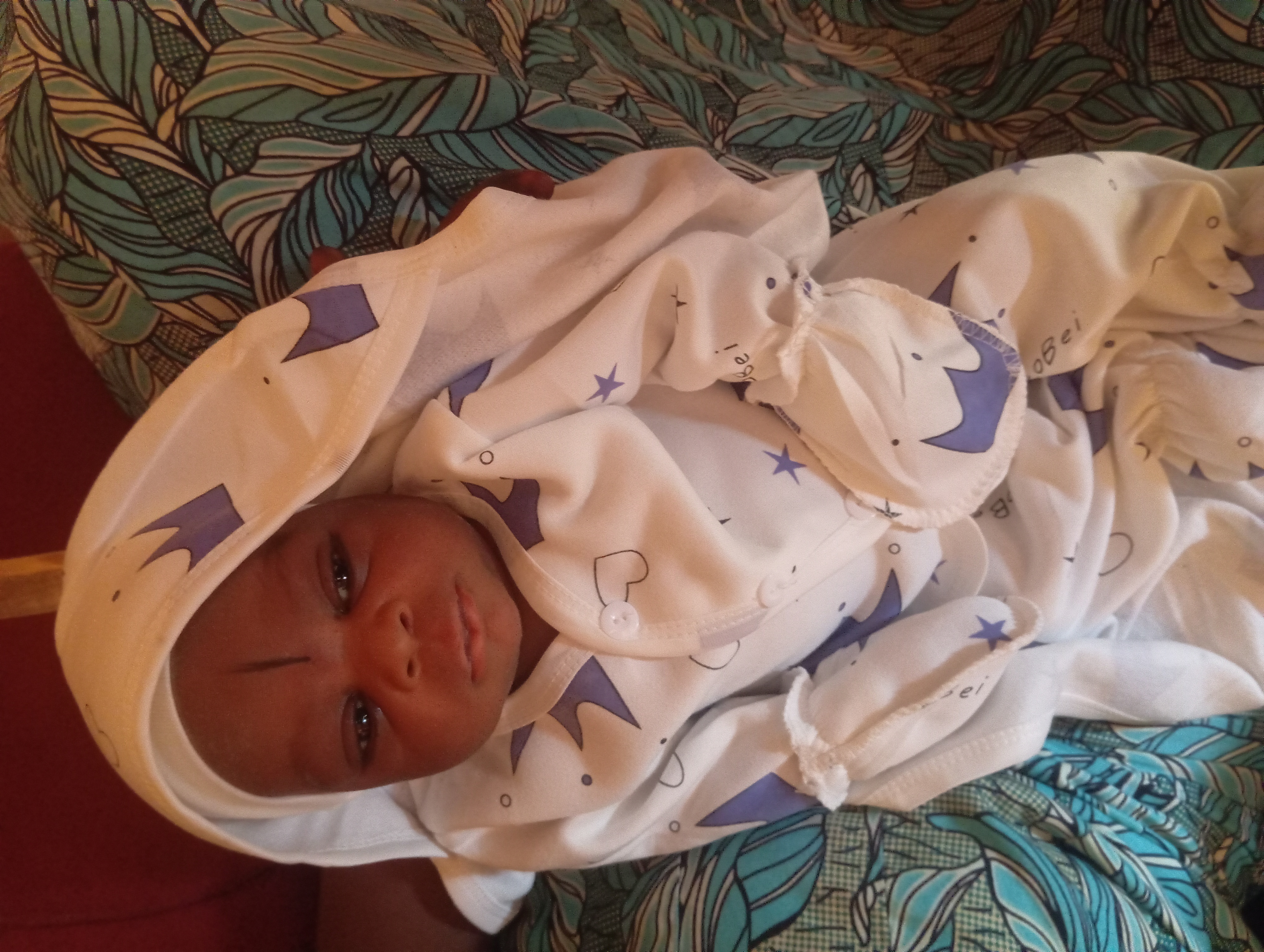 Ibrahim Musa