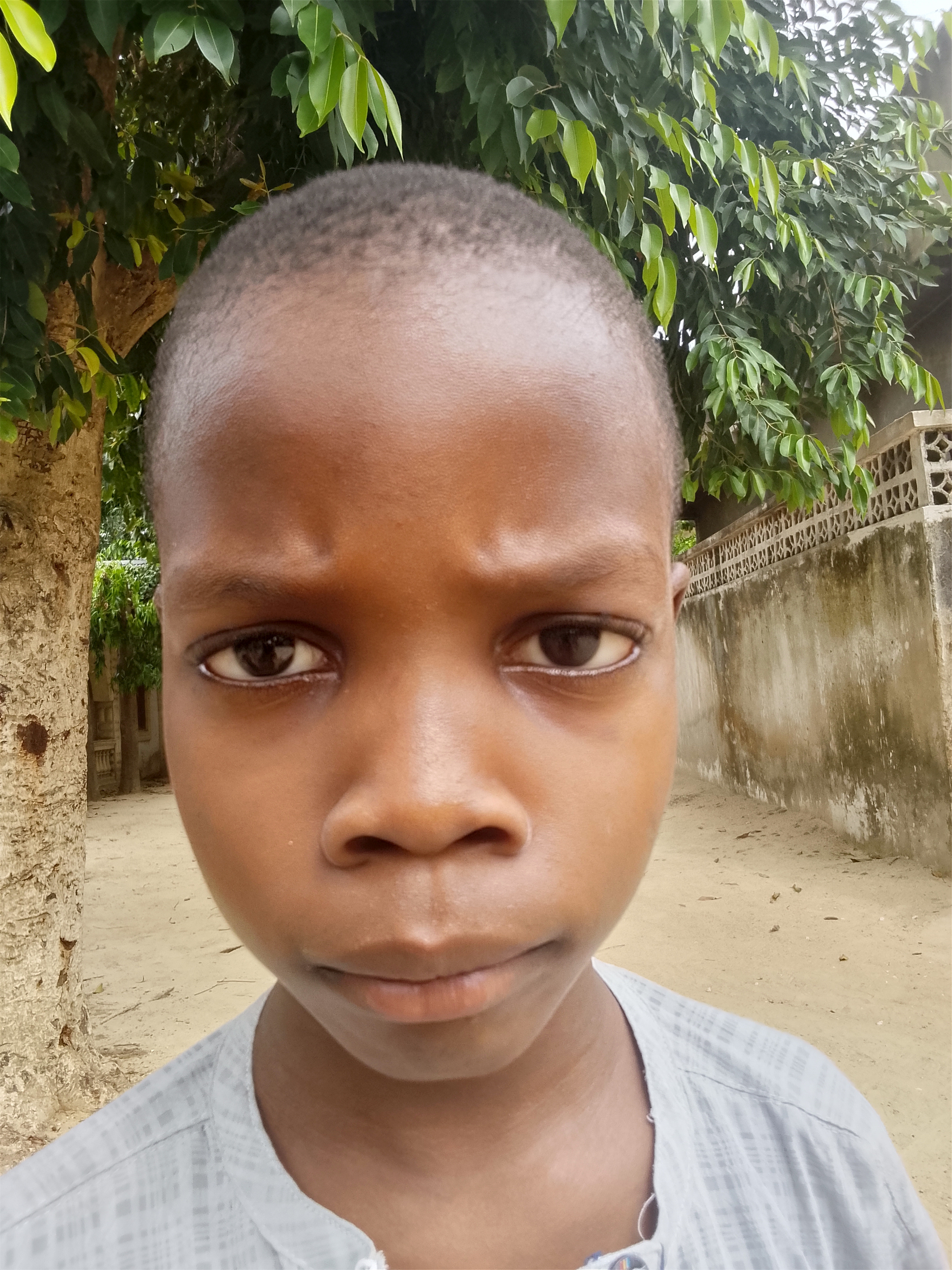 Munir Buji Bolori